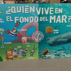 Panel impreso en forex - Imagen 2